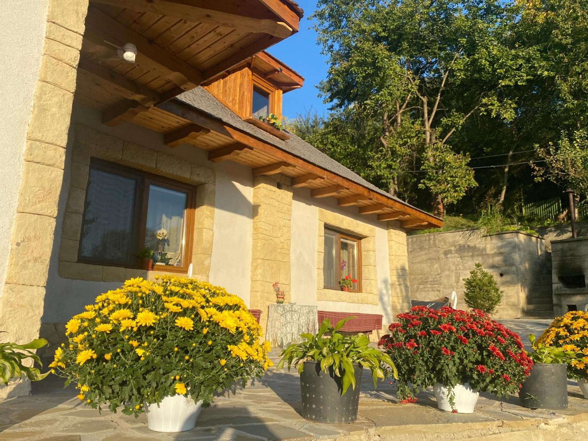 Casa Cu Sindrila